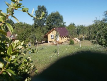 comeat 01 08 15 003.JPG
