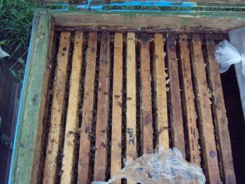 tdscn0940.jpg