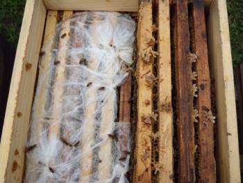 tdscn0944.jpg