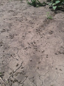 rsz_20150712_150056.jpg