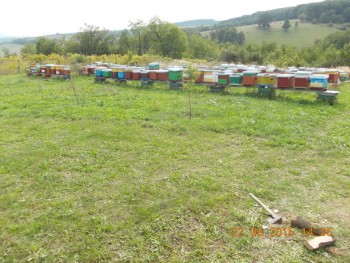 rsz_picture_030.jpg