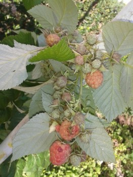 rsz_20140830_090330.jpg