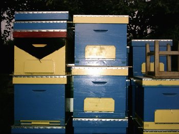 PIC_0001.jpg