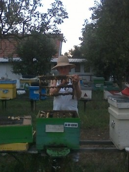 poze 201 010.jpg