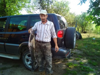 IMG_20150824_092014.jpg
