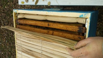 20151106_142521_800x450.jpg