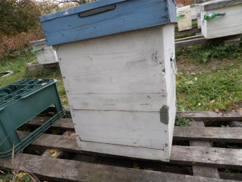 catsubcuib (Medium).JPG