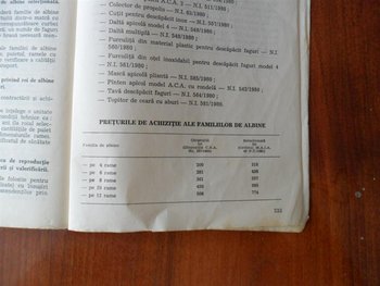 SAM_0345 (Medium).JPG