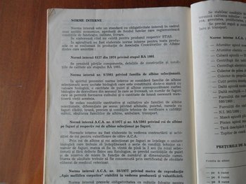 SAM_0344 (Medium).JPG
