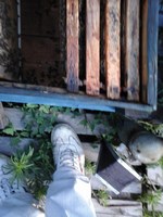 20140808_183429 (Copia) (Copia) (Copia).jpg