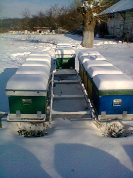 Fotogr.0122.jpg