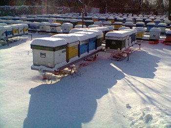 Fotogr.0115.jpg