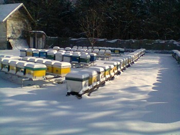 Fotogr.0117.jpg