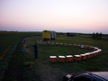 P1020359.jpg