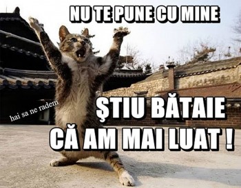 bataie.jpg