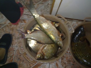 02102010088.jpg