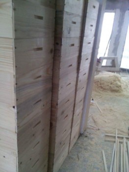 received_1712284525681582.jpeg