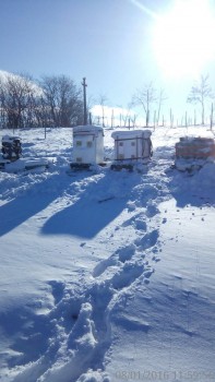 rsz_1img_20160108_115956.jpg