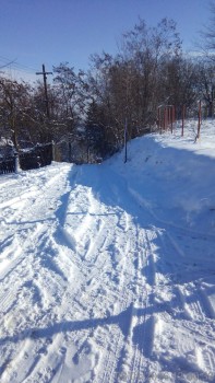 rsz_img_20160108_120033.jpg