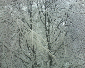Picture 002.jpg