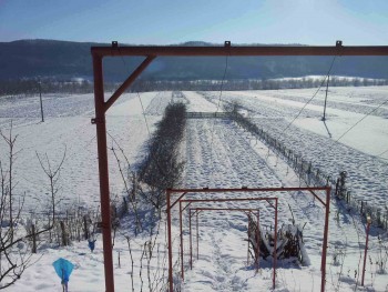 rsz_2016-01-19_111948.jpg