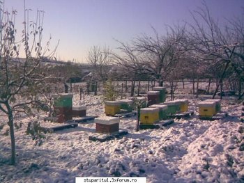 ok_34173.jpg