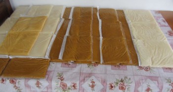 turtite.jpg