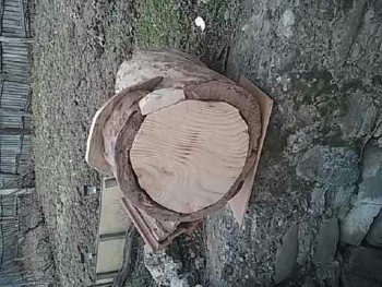 1454511548757.jpg
