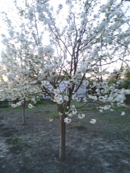 IMG00053.jpg