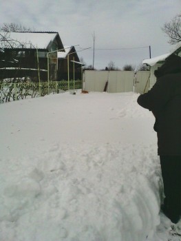 IMG00188.jpg