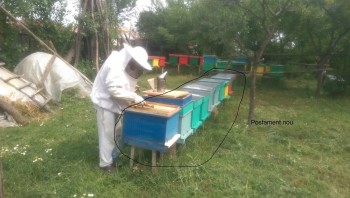 poza3.jpg