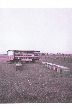 IMG_0003.jpg