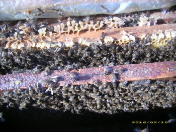 DSCI1448 (Copy).JPG