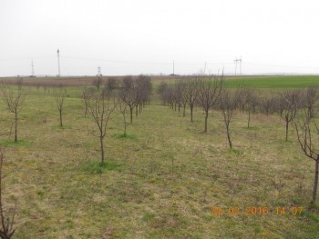 rsz_dscn1447.jpg