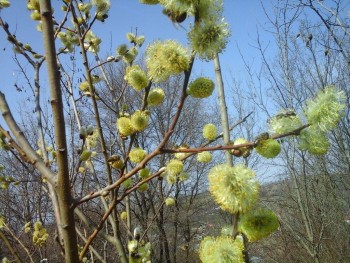 rsz_20160303_123039.jpg
