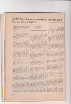 hranirea cu zahar 001.jpg