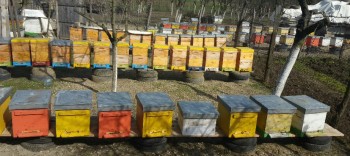 2016-03-08 09.41.53.jpg