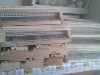rsz_20160303_134012.jpg