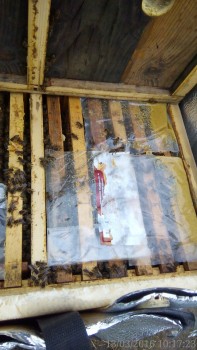 rsz_img_20160313_101723.jpg