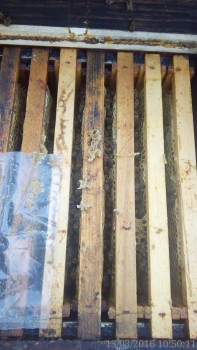 rsz_img_20160313_105011.jpg