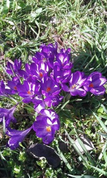 WP_20160306_004.jpg