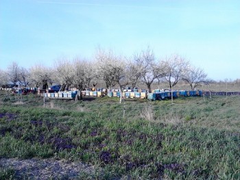 IMG_20160402_184735.jpg