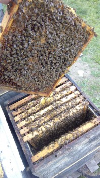 rsz_1img_20160417_163513-1.jpg