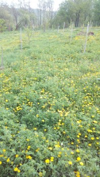 rsz_img_20160418_110722-1.jpg