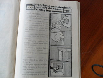SAM_0370.JPG