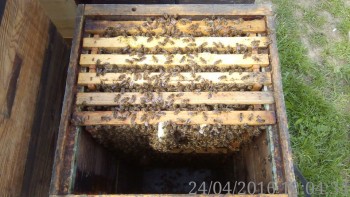 rsz_img_20160424_120434.jpg