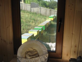 IMG_19291.JPG