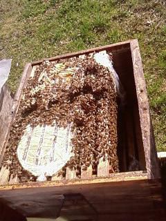 ok_162606-1.jpg