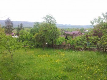 rsz_2016-05-04_095622.jpg