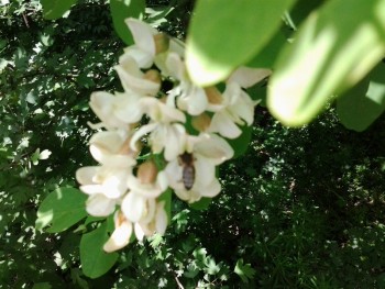rsz_20160507_133543.jpg